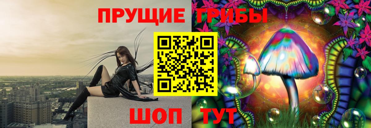 Псилоцибиновые грибы мицелий Карабулак